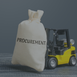 Government authorities and procurement teams